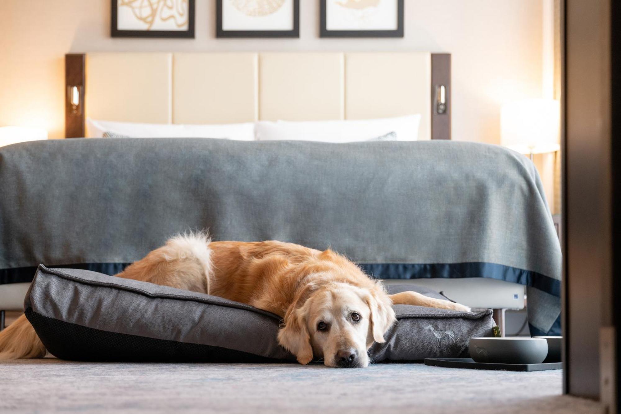 Kö59 - Member Of Hommage Luxury Collection Hotel